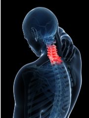 neck pain chiropractic associates preston